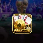 PAK3 Game APK